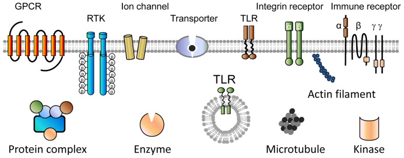 FIGURE 3