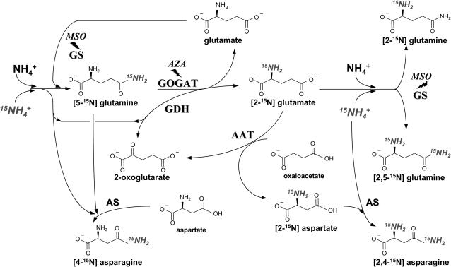 Figure 6.