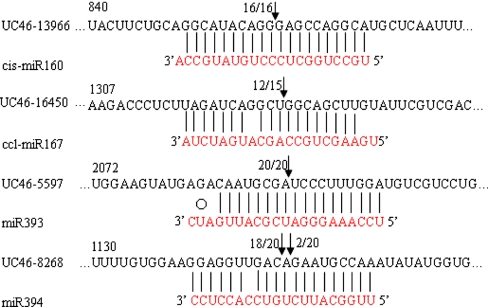 Fig. 4