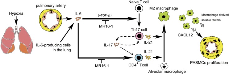 Fig. 7.