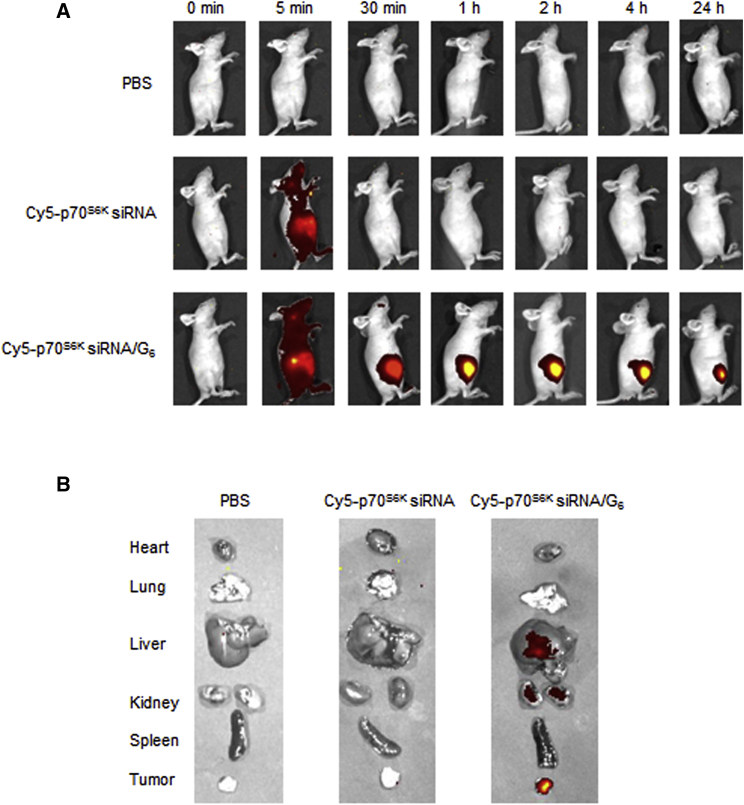 Figure 6