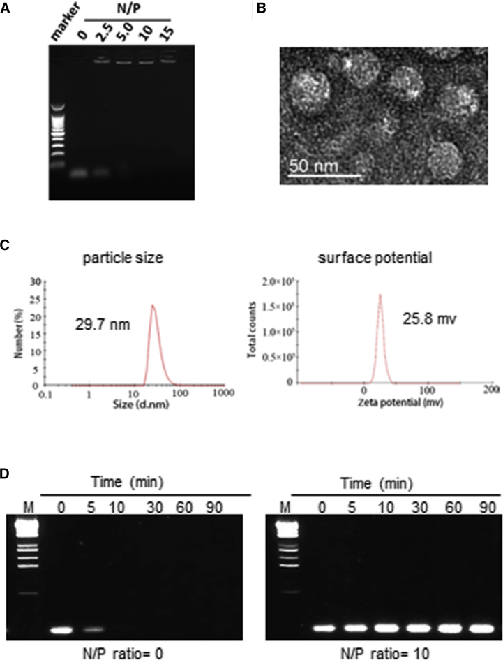 Figure 2