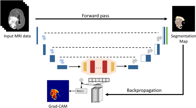 Figure 7