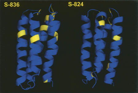 Figure 7.