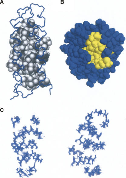 Figure 2.