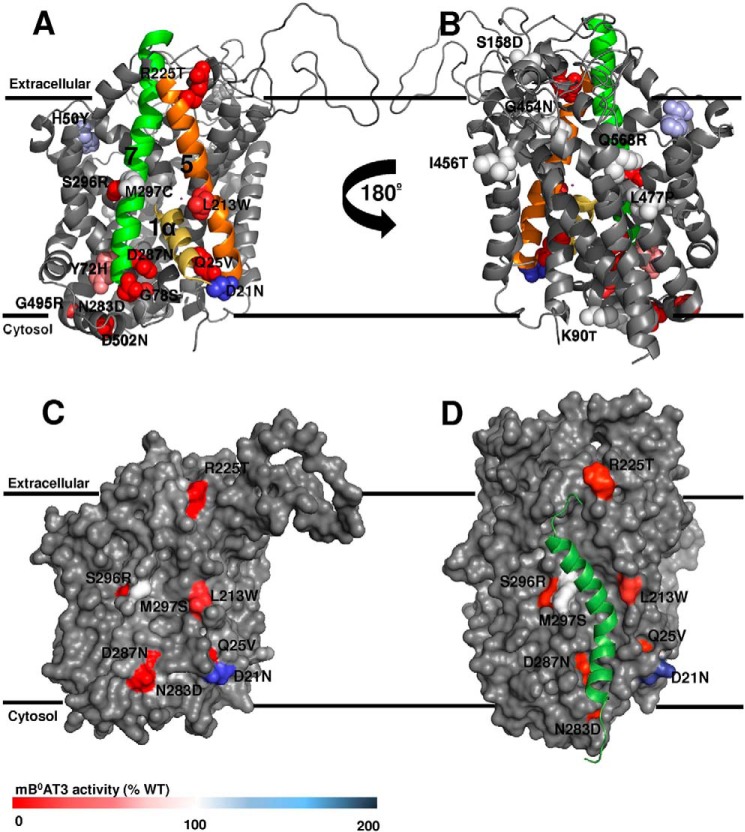 FIGURE 4.