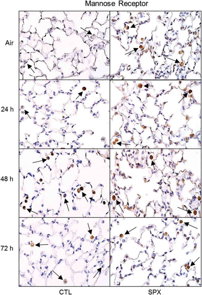 FIG. 7