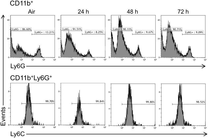 FIG. 1