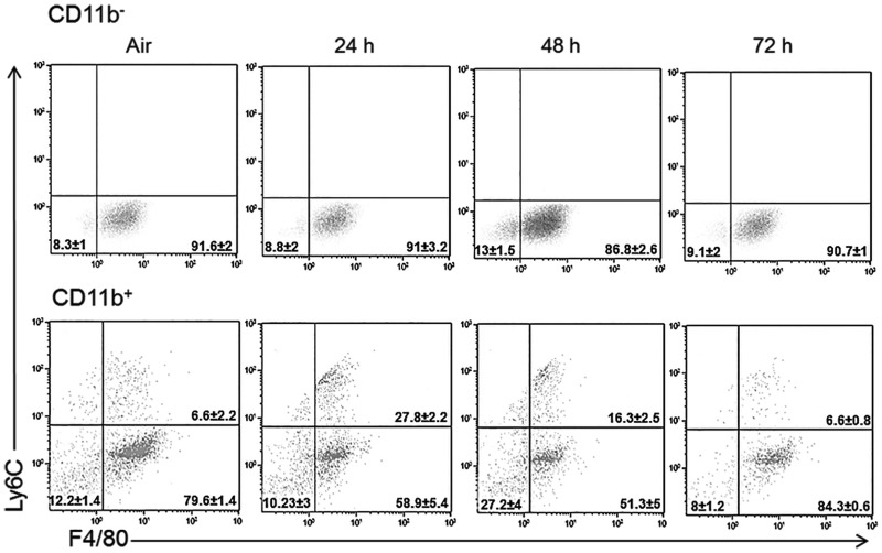 FIG. 4