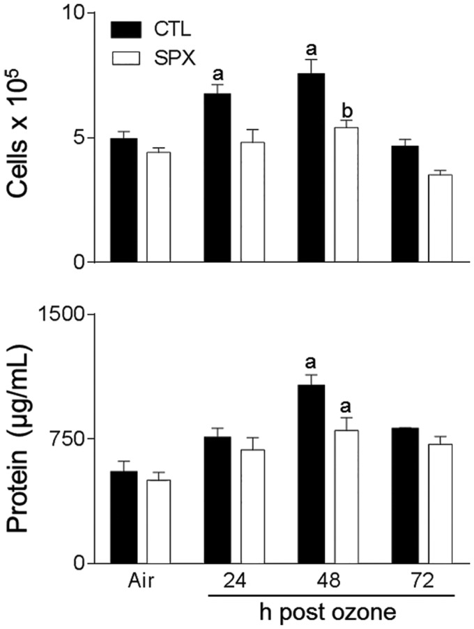 FIG. 10