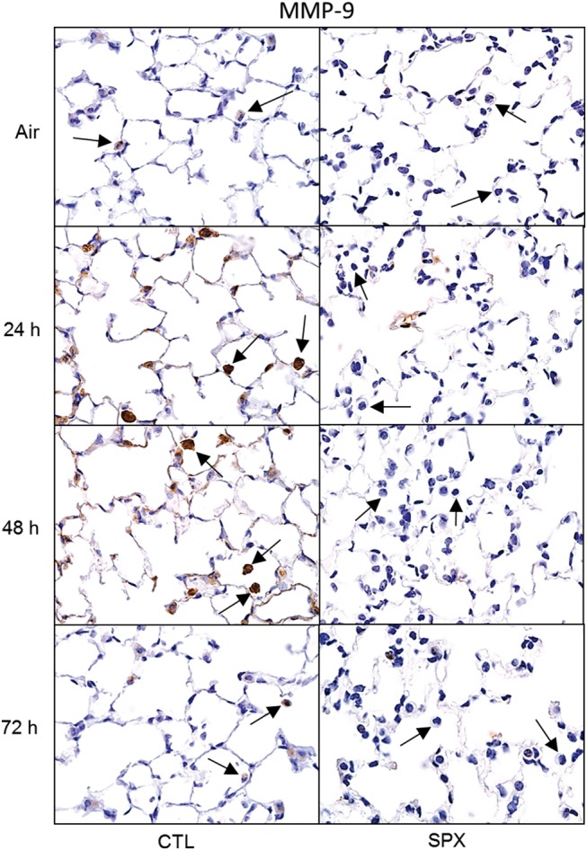 FIG. 6