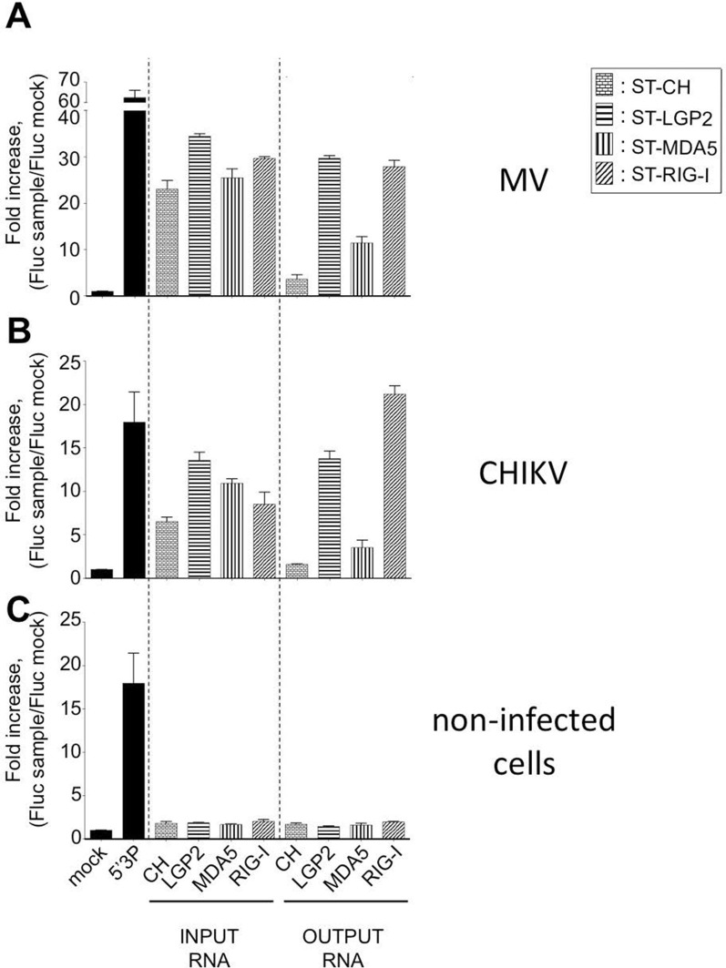 Figure 4.