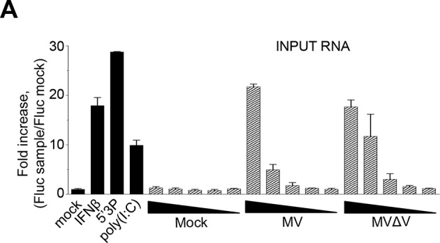 Figure 7—figure supplement 2.