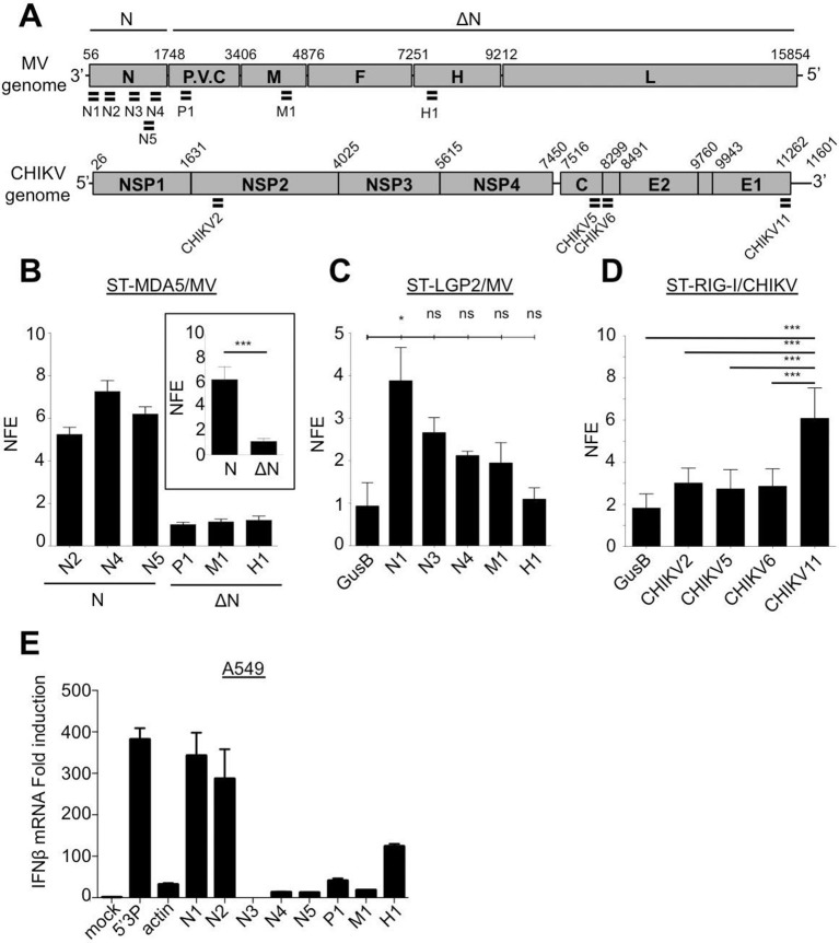 Figure 10.