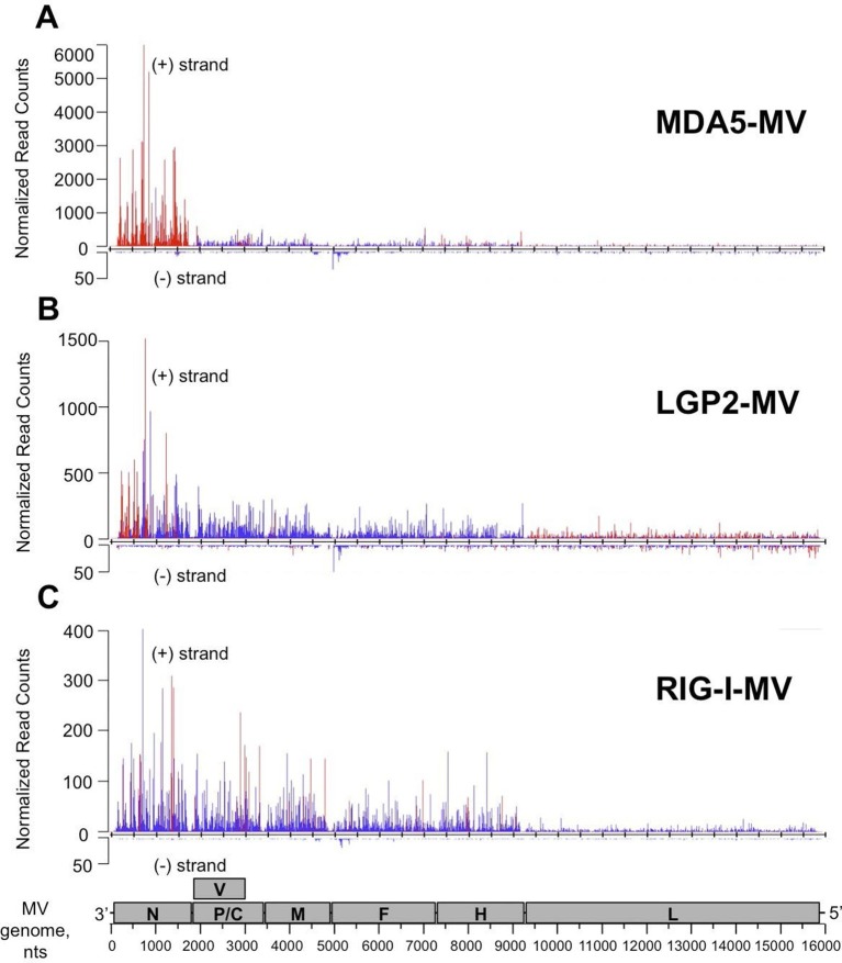 Figure 6.