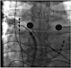 Figure 4C.