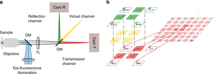 Fig. 1