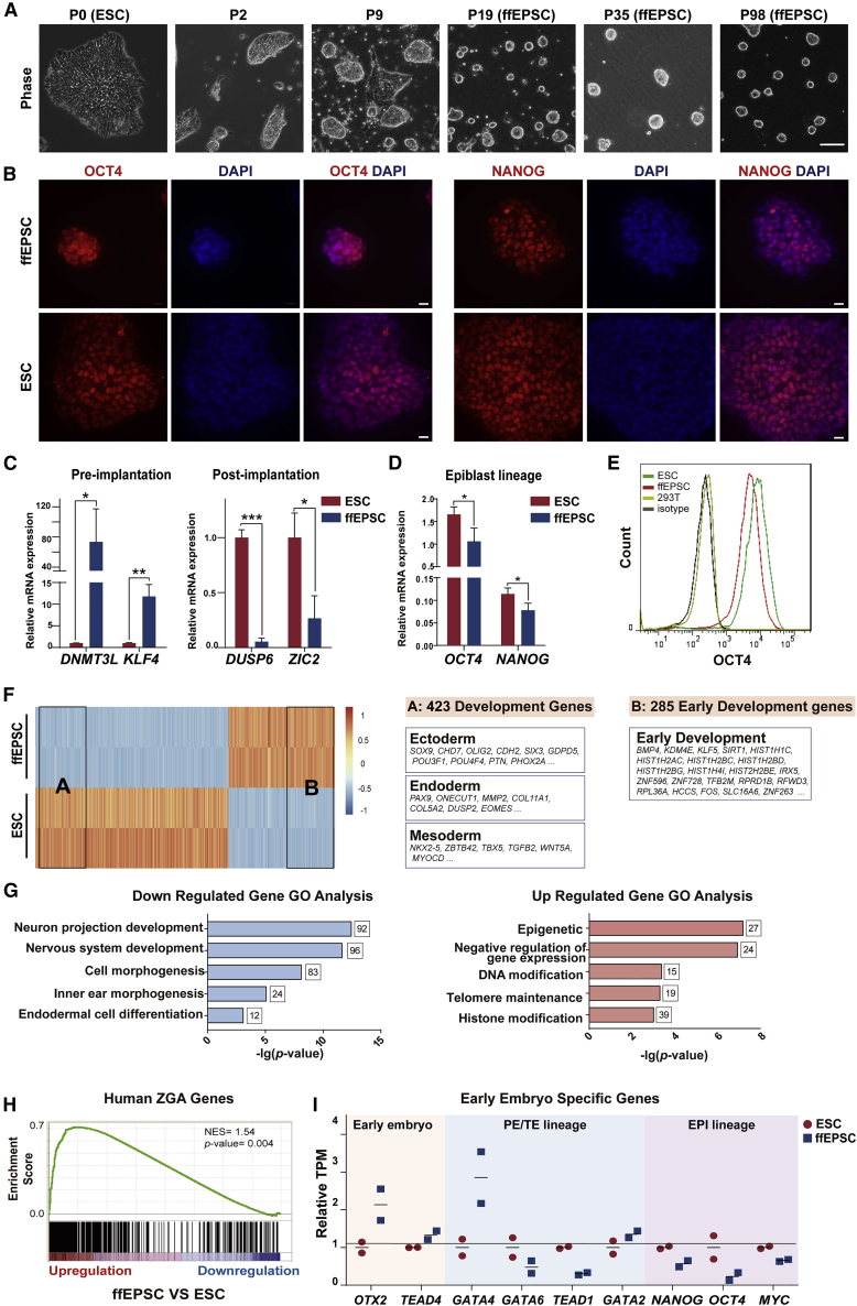 graphic file with name gr1c.jpg