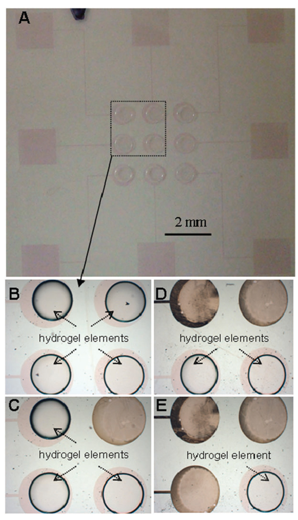 Fig. 3