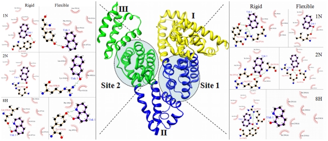 Figure 13