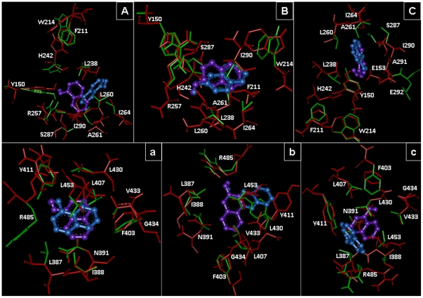 Figure 12