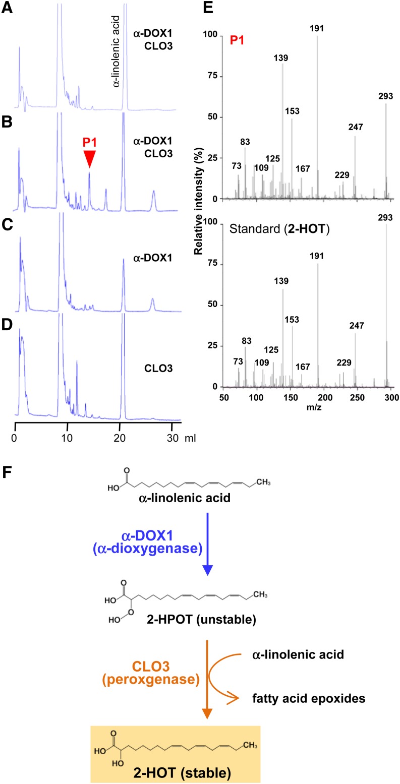 Figure 5.