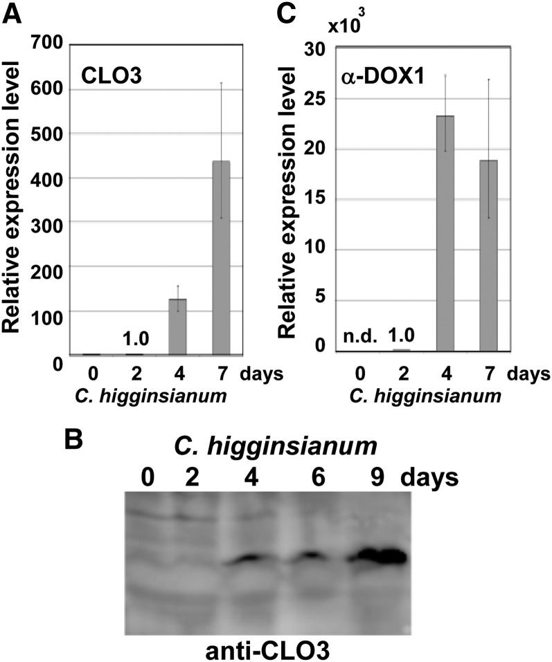 Figure 2.