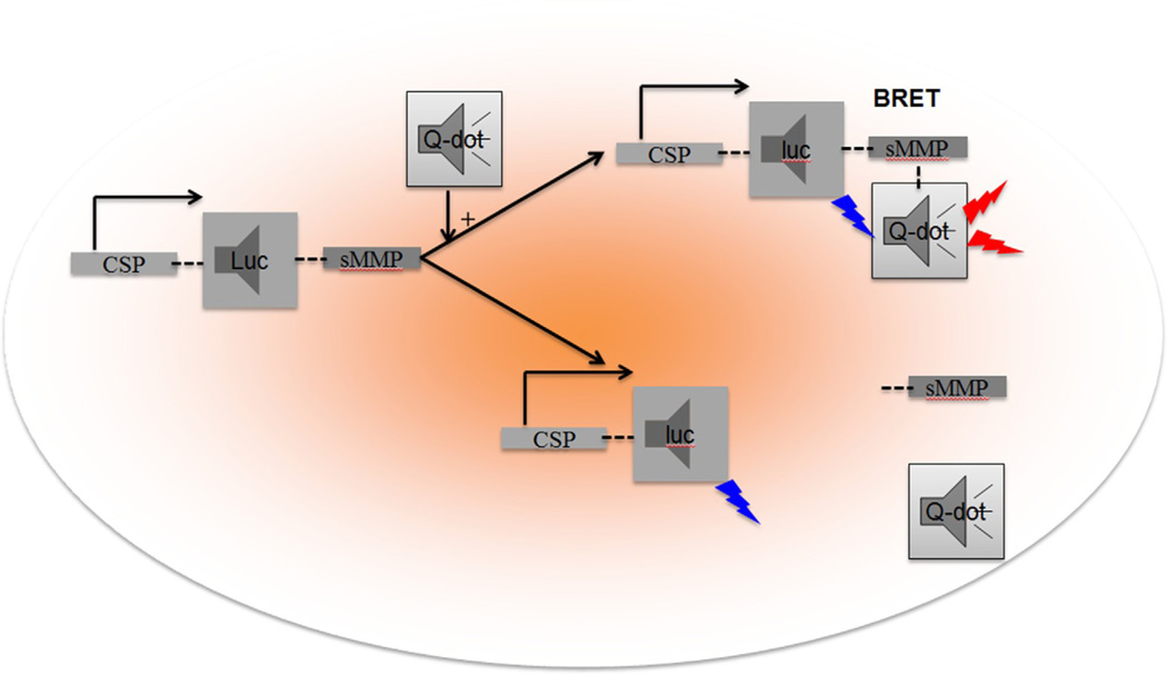 Figure 4.2