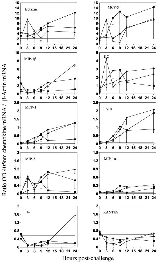 FIG. 3