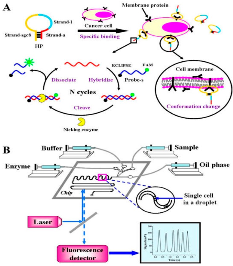 Figure 9