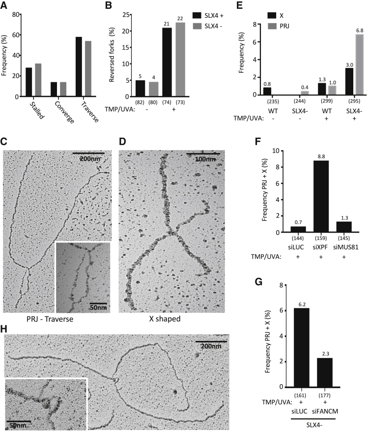 Figure 6