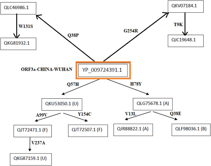 Fig. 10