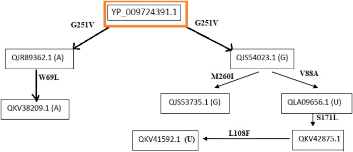 Fig. 11