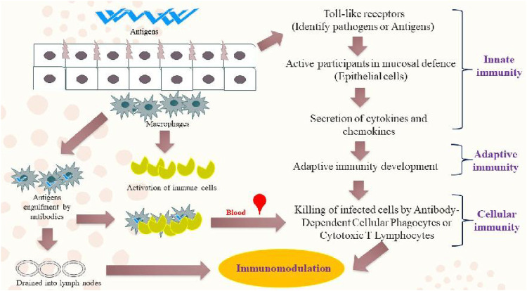 FIGURE 2