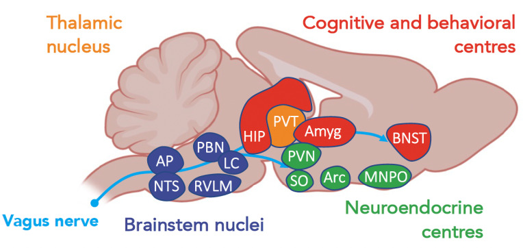 Figure 2