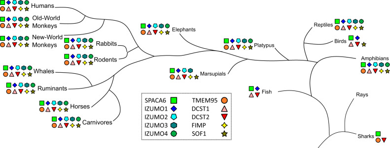 Fig. 4