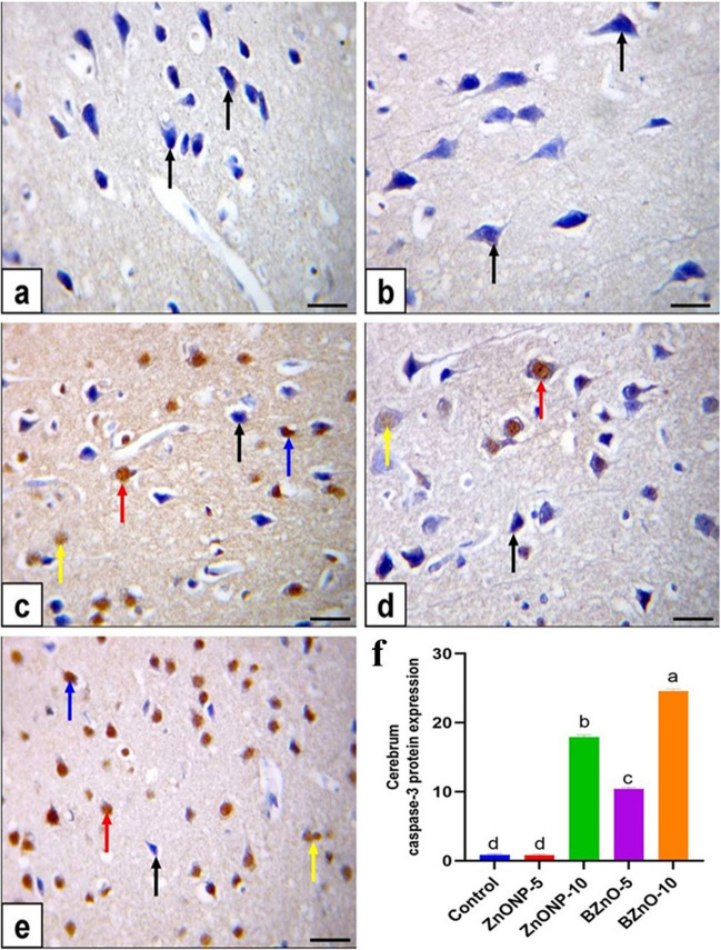 Fig. 8