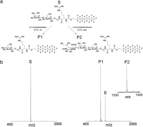 Fig. 2.