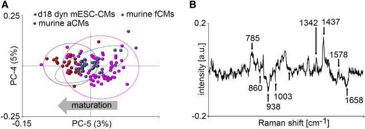 Figure 4