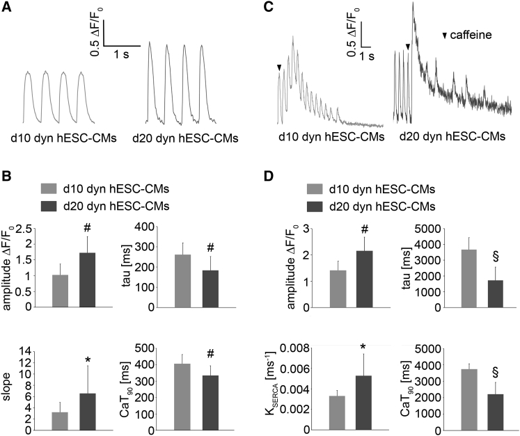 Figure 6