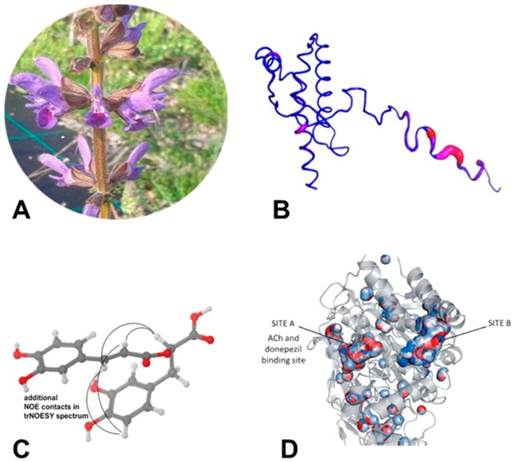 Figure 25