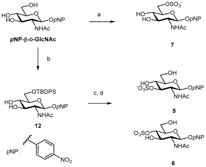 Scheme 2