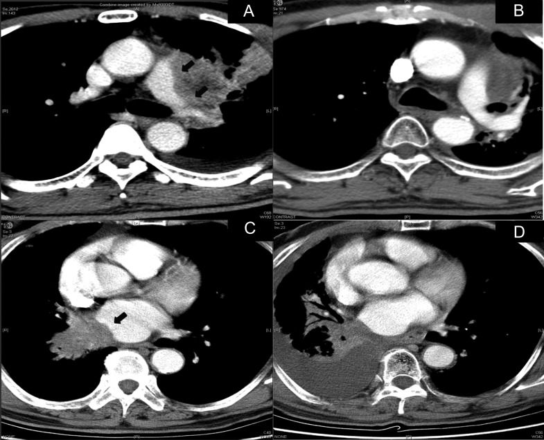 Fig. 5.