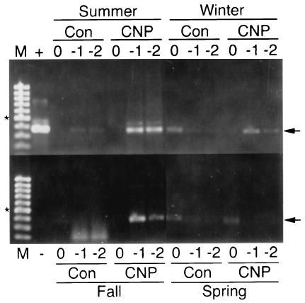 FIG. 6.