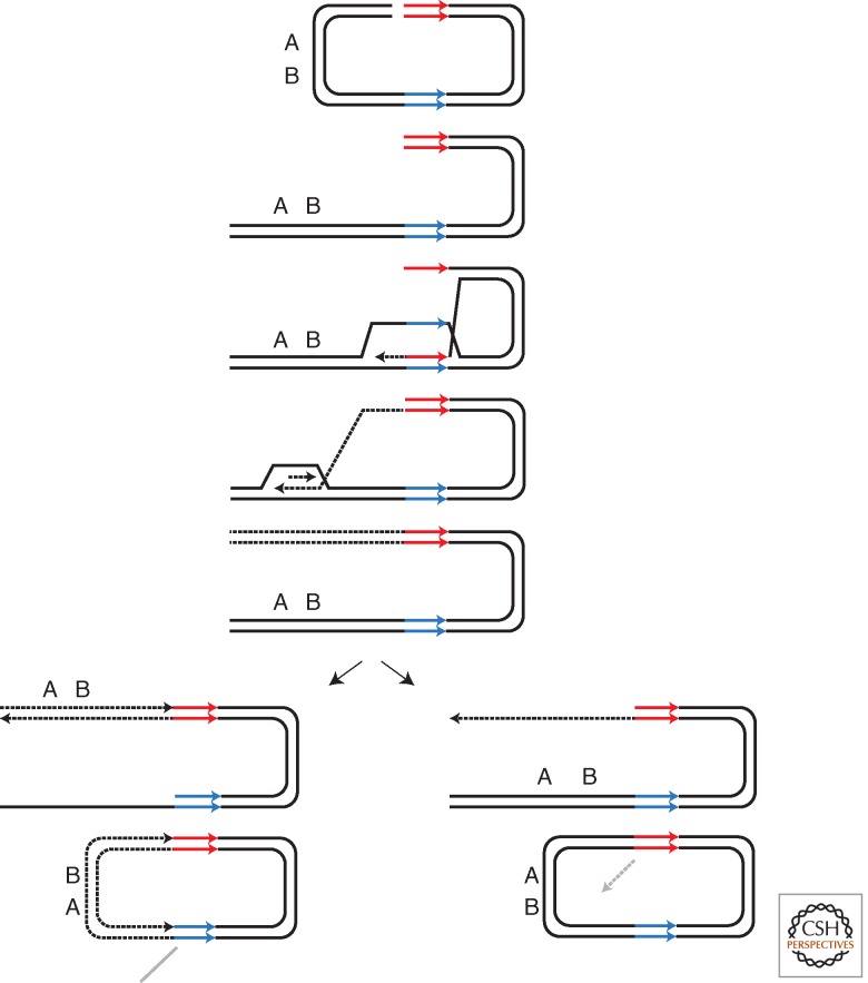 Figure 6.