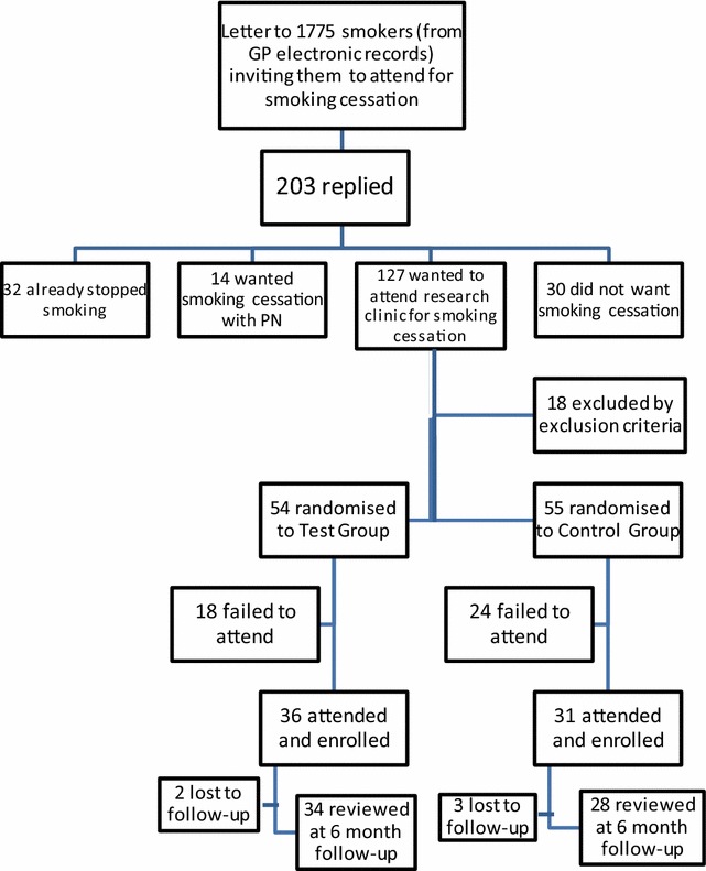 Fig. 2