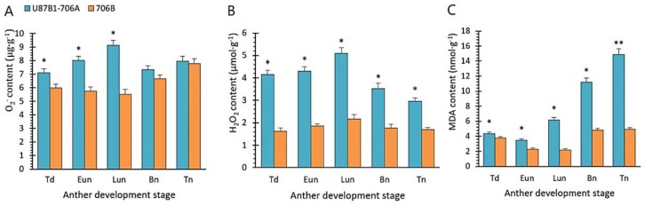 Figure 7