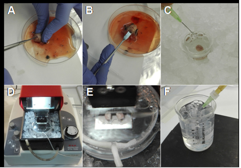 Figure 3.