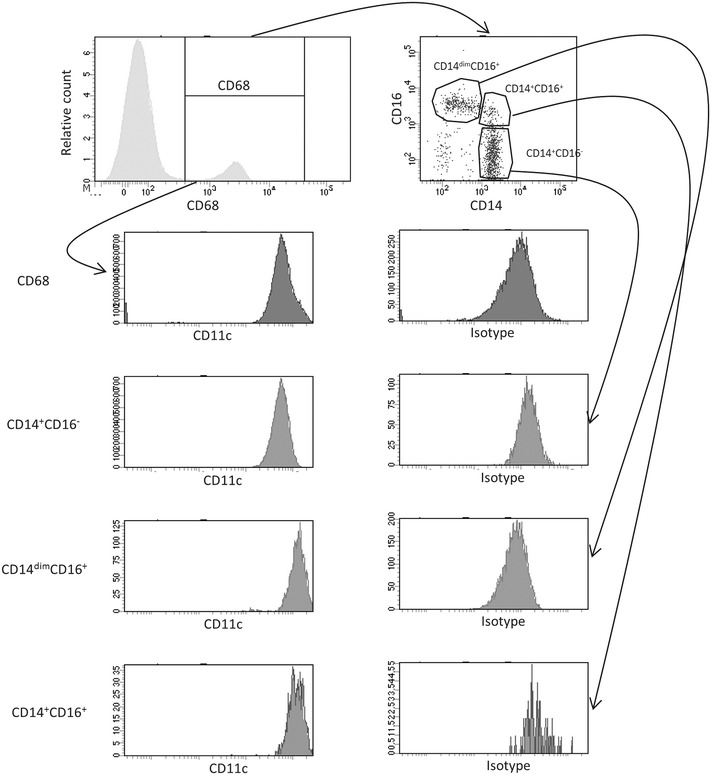 Fig. 3