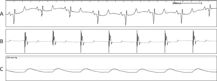 Fig 4